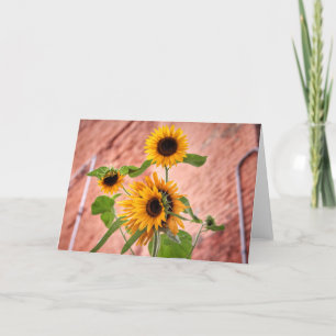City Sunflowers Note Cards