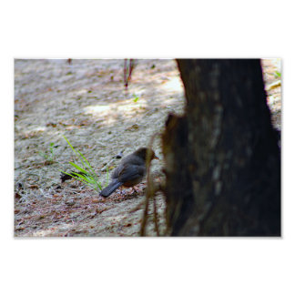 City Terrace Photo Print