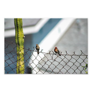 City Terrace Photo Print