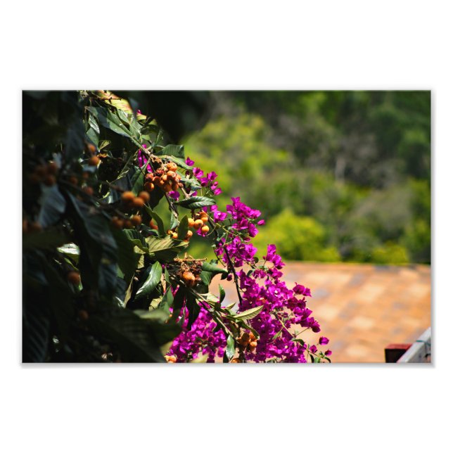 City Terrace Photo Print (Front)