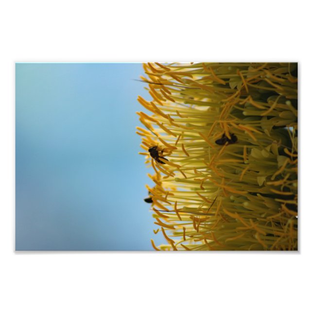 City Terrace Photo Print (Front)