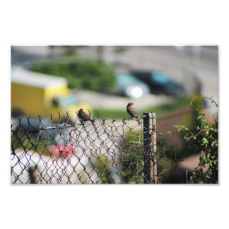 City Terrace Photo Print