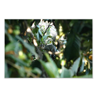 City Terrace Photo Print