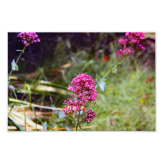 City Terrace Photo Print