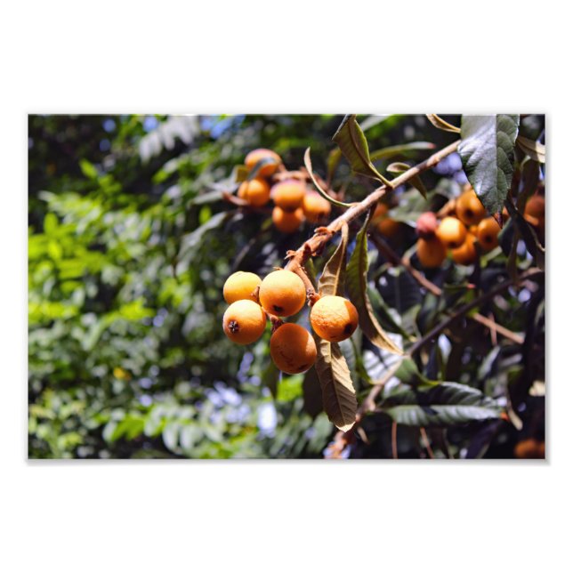 City Terrace Photo Print (Front)