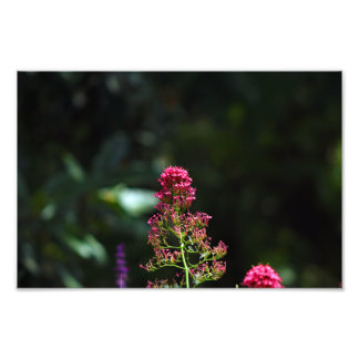 City Terrace Photo Print