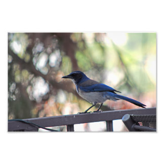 City Terrace Photo Print