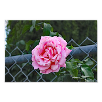 City Terrace Photo Print