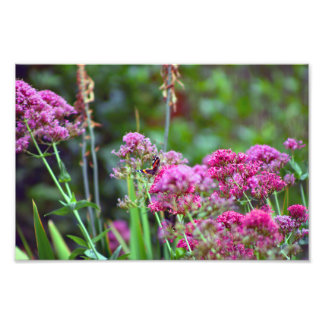 City Terrace Photo Print