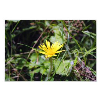 City Terrace Photo Print