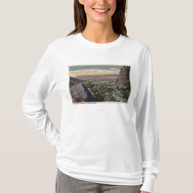 City View from Tahquitz Canyon T-Shirt (Front)