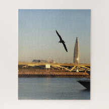 City with a Bird Puzzle