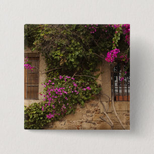 Ciudad Monumental, flower-covered buildings Button