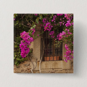 Ciudad Monumental, flower-covered buildings Pinback Button