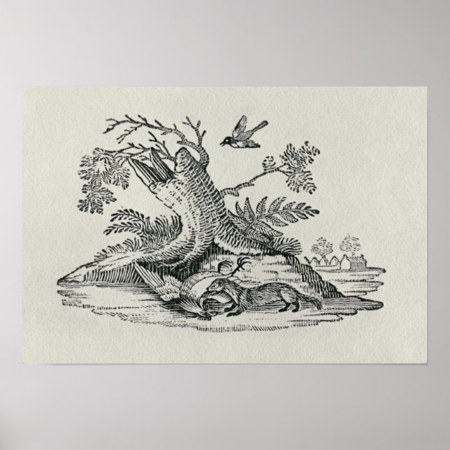 Civet with Cockerel from 'History of Quadrupeds' Poster (Front)