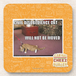 Civil Disobedience Cat Beverage Coaster