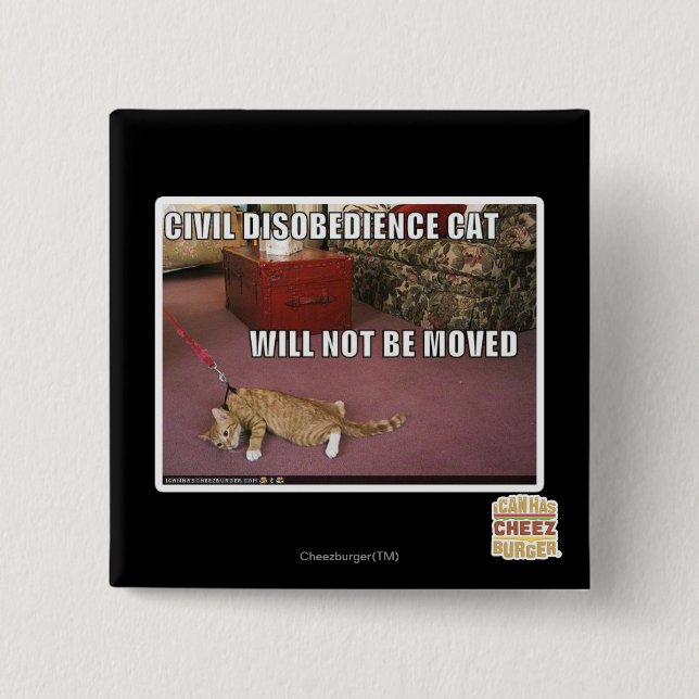 Civil Disobedience Cat Button (Front)