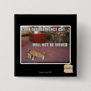 Civil Disobedience Cat Button