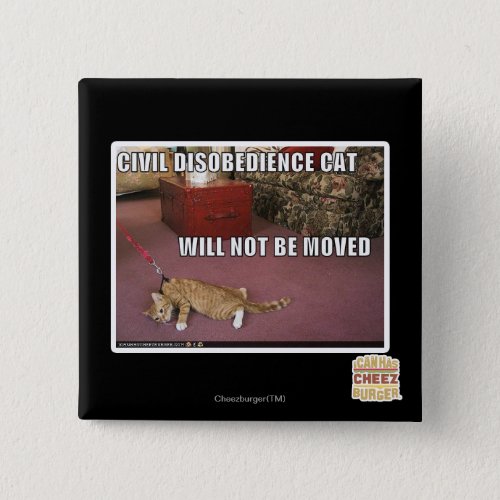 Civil Disobedience Cat Button