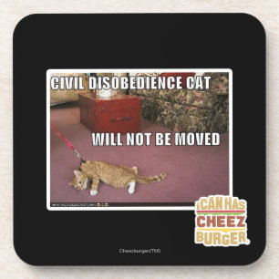 Civil Disobedience Cat Drink Coaster
