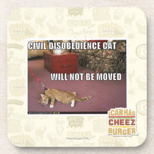 Civil Disobedience Cat Drink Coaster