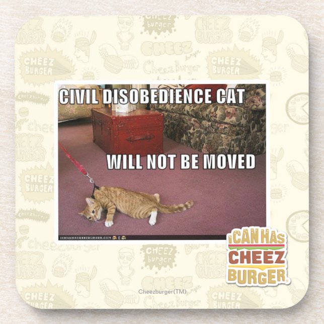 Civil Disobedience Cat Drink Coaster (Front)