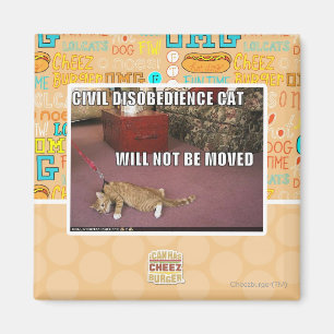 Civil Disobedience Cat Magnet