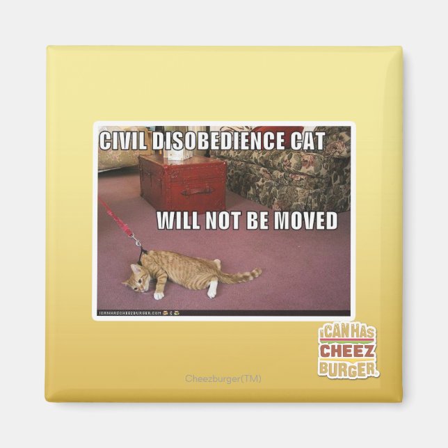 Civil Disobedience Cat Magnet (Front)