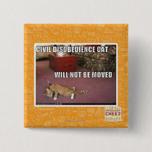 Civil Disobedience Cat Pinback Button