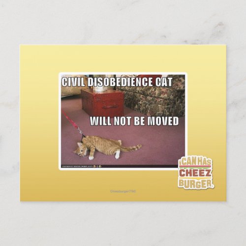 Civil Disobedience Cat Postcard