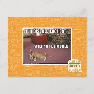 Civil Disobedience Cat Postcard