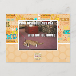 Civil Disobedience Cat Postcard