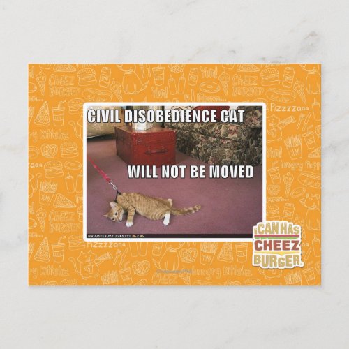 Civil Disobedience Cat Postcard