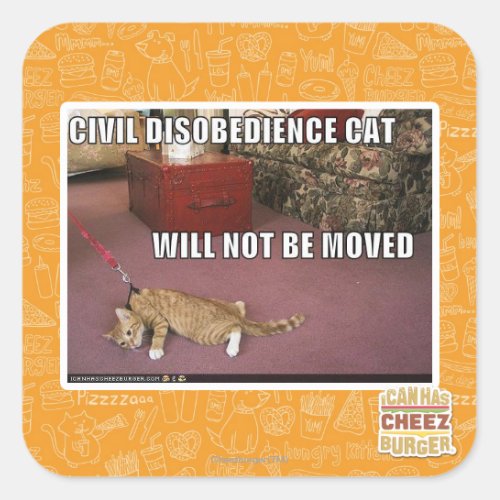 Civil Disobedience Cat Square Sticker