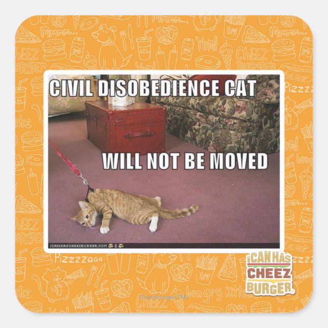Civil Disobedience Cat Square Sticker (Front)