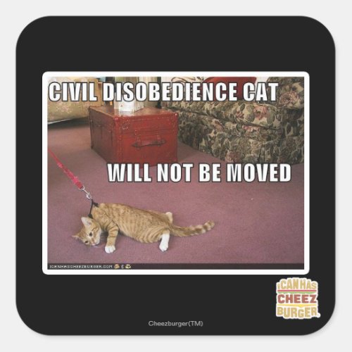Civil Disobedience Cat Square Sticker