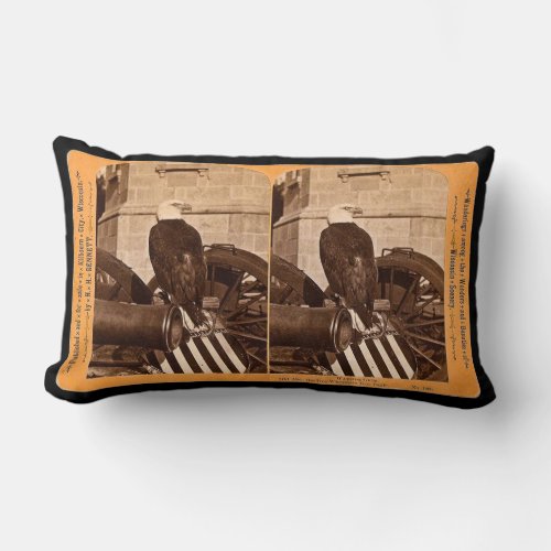 Civil War Bald Eagle Old Abe Vintage Cannon Lumbar Pillow