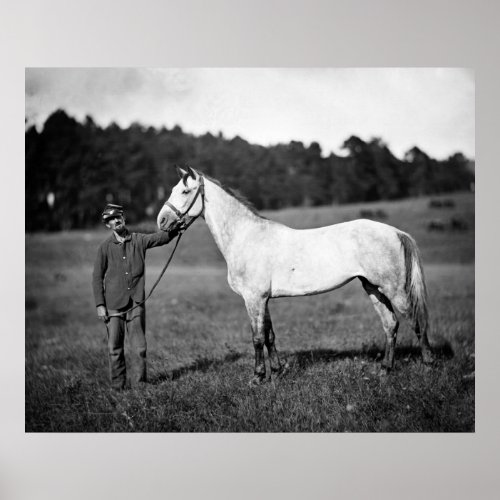 Civil War Horse 1860s Poster