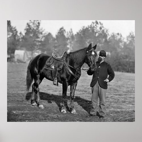 Civil War Horse 1864 Poster