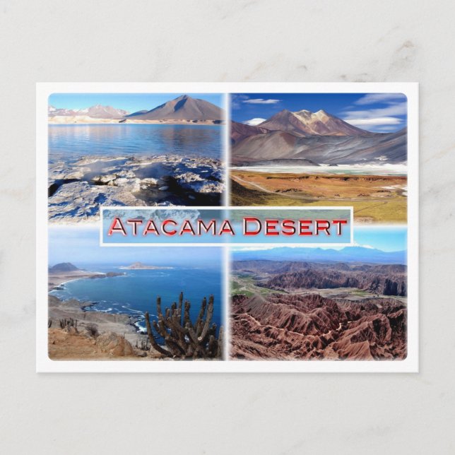 CL Atacama Desert - Green Lagoon - Salar de Talar Postcard (Front)