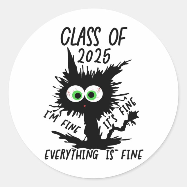Cl Of 2025 Funny Black Cat  Classic Round Sticker (Front)