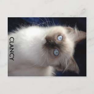cla1, CLANCY Postcard