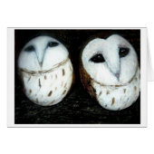 clachnaharry stones baby owls (Front Horizontal)