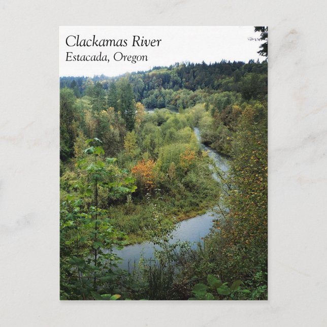 Clackamas River, OR Postcard (Front)