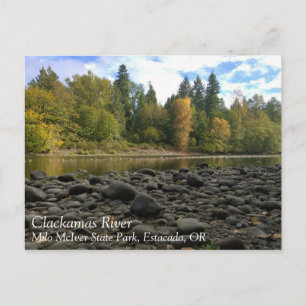 Clackamas River, Oregon Postcard