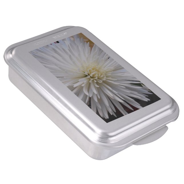 Claicia Cake Pan (Side)