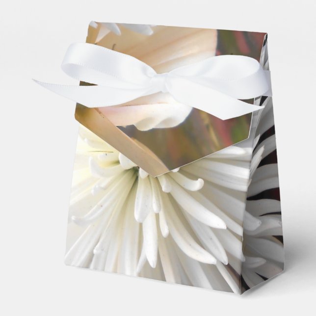 Claicia Favor Boxes (Front Side)