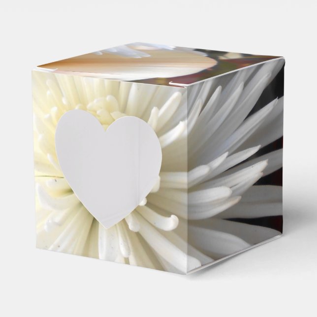 Claicia Favor Boxes (Front Side)