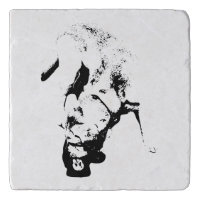 Claimed the Prize – Lab Sketch