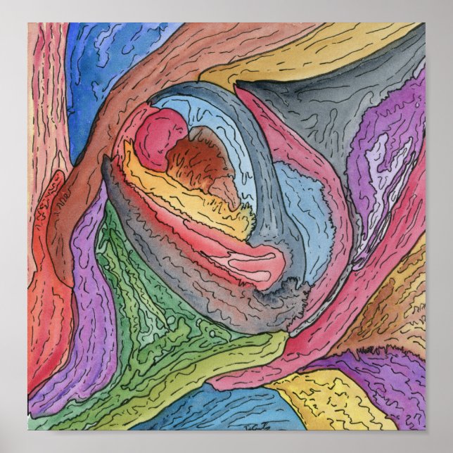 Clam Claw Poster (Front)